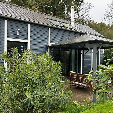 Gite Bambou Saint-Lunaire Exteriör bild